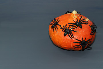 Halloween background with pumpkin and spiders.