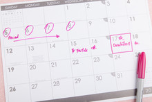 Fertile Period And Ovulation On Calendar 