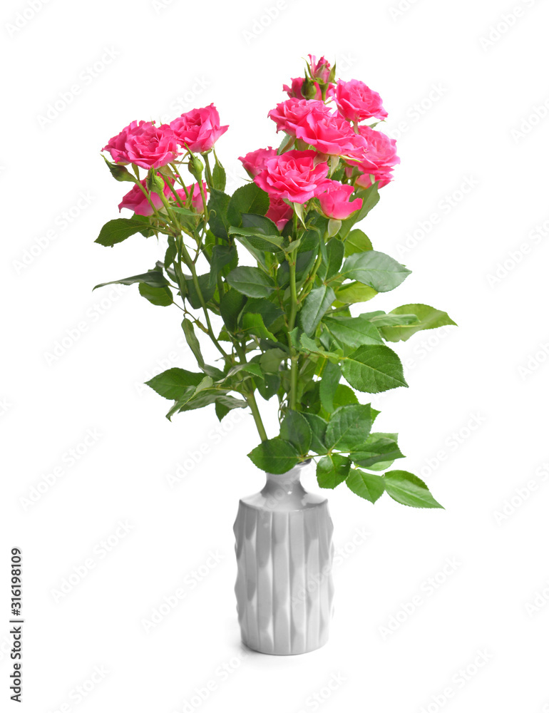 Vase with beautiful rose flowers on white background