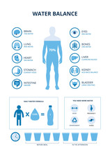 Water Balance Set With Body And Organs Icons, Vector Illustration Isolated.