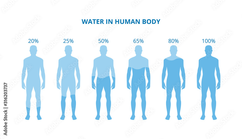 Water in human body - health poster with differently hydrated bodies - obrazy, fototapety, plakaty 