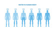 Water in human body - health poster with differently hydrated bodies