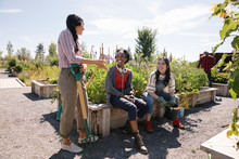 Young Women Friends Talking In Sunny Community Garden