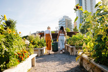 Young Women In Sunny, Urban Community Garden