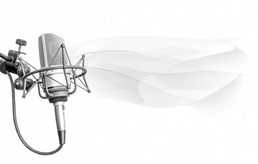 Wall Mural - Professional microphone in Radio studio