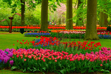 Sticker - fresh lawn with flowers