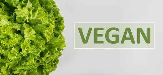 Close up bunch of fresh, green batavia lettuce salad and vegan text isolated on grey. Bio food, healthy diet symbol. Organic vegetarian nutrition, lifestyle concept.