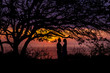 © Nejron Photo - Silhouettes of embracing couple at sunset