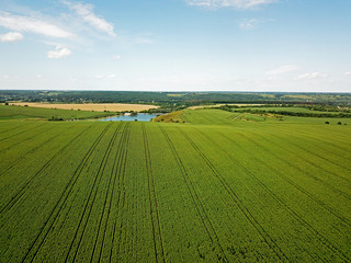 Aeiral drone view. Green agricultural fields