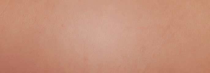 skin texture with cells