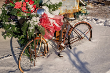 A vintage rusted mens bicycle decorated with red bow and green tree branches outdoors on a snow covered ground in a Christmas landscape