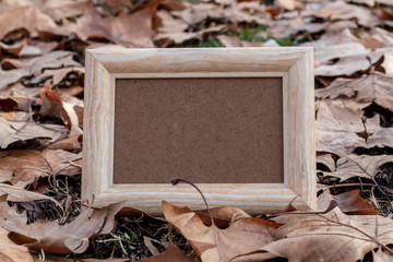 Wall Mural - Empty Picture Frame on Background Created Using Dry Autumn Leaves