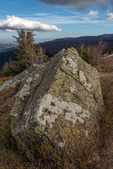 Canvas Print - Paysage de montagne dans les Vosges