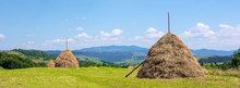 Haystack On The Grassy Field In Summer. Traditional Carpathian Rural Landscape In Mountains. Sunny Weather With Fluffy Clouds