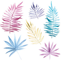  stock illustration watercolor drawing set of tropical leaves. bright colored leaves of plants of pink, blue, purple, yellow. isolated on white background