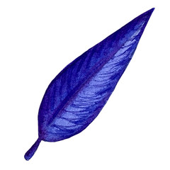 Watercolor blue exotic leaves painting. Hand painted exotic leaves illustration for summer design.