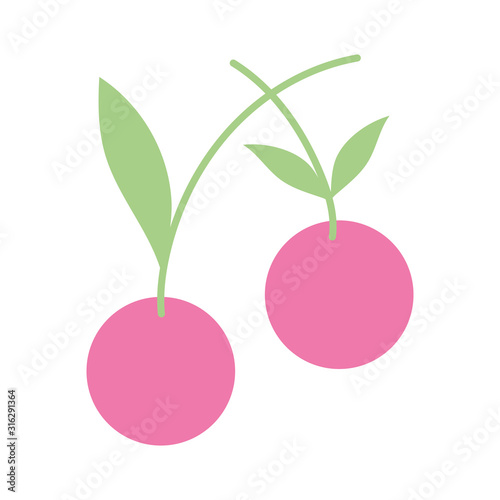 Cuadros en Lienzo tasty fresh fruit cherry icon on white background