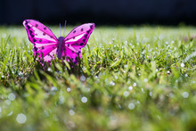 Colourful Vibrant Pink Fabric Butterfly In Wet Grass Background 