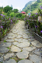 The Path In The Garden Of Wooden Round Logs. Wood Texture. In The Park To Protect Plants From People Walking Walk Through The Flower Garden. Background In Rustic Style. Sapa, Vietnam