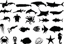 Sea Life Vector Silhouette Isolated On White Background