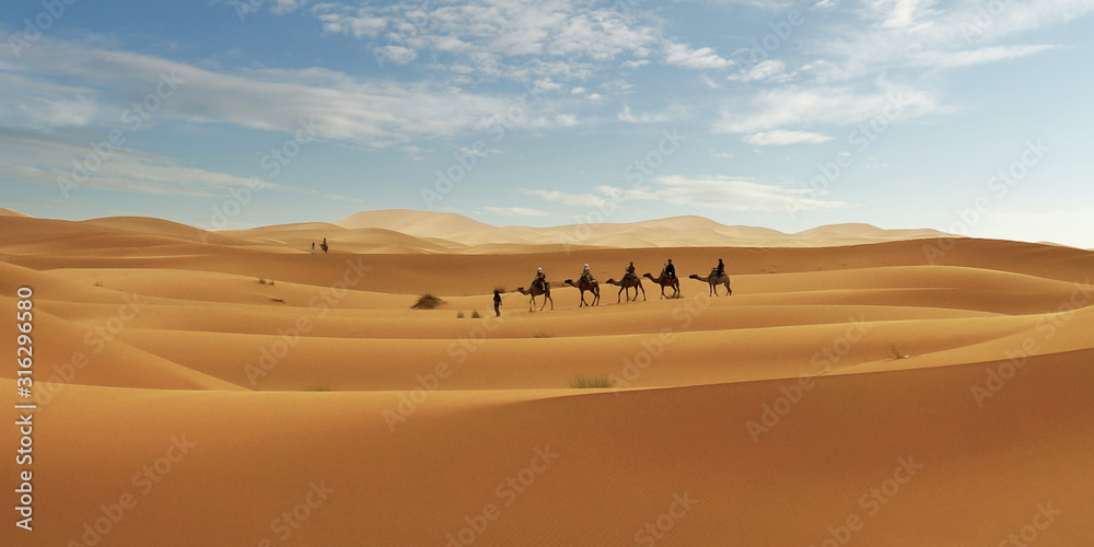 Caravan of camel in the sahara desert of Morocco - obrazy, fototapety, plakaty 