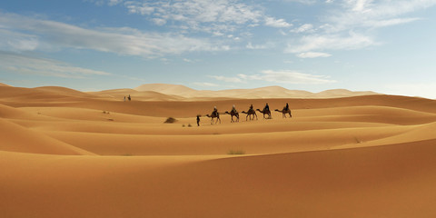 Wall Mural - Caravan of camel in the sahara desert of Morocco