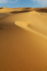 Wall Mural - sand dune in the sahara desert 