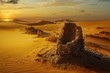 old water well in the sahara desert	