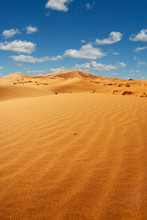 Sand Dune In The Sahara Desert 