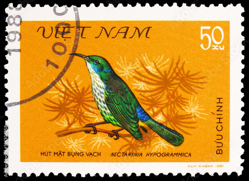 Postage stamp printed in Vietnam shows Purple-naped Sunbird (Hypogramma hypogram Poster Mural XXL