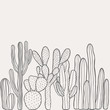 Hand drawn desert cactus background. Vintage, botanical vector illustration.