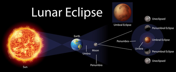 Wall Mural - diagram showing lunar eclipse on earth