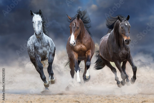 Dekoracja na wymiar  stado-koni-biegnie-swobodnie-po-pustynnym-pyle-przed-burzowym-niebem