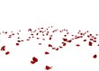 Rose petals are scattered on the floor