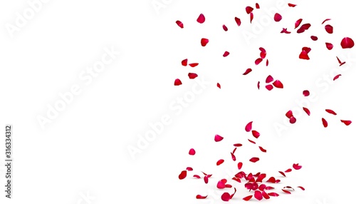 Rose petals fall beautifully on the floor © injenerker
