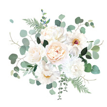 Ivory Beige Rose, White And Creamy Woody Peony, Chrysanthemum Flower Vector Design