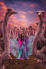 Beautiful woman with herd of ostriches