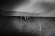 Horror shoot, hand of woman out from under the bed in whit e tone