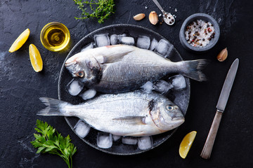 Dorado raw fish on a plate with ice and lemon. Black slate background. Top view.