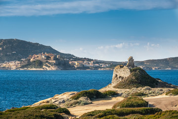 Wall Mural - Punta Caldanu and citadel of Calvi in Corsica