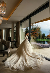 beautiful bride with dark hair in elegant wedding dress posing in luxurious interior