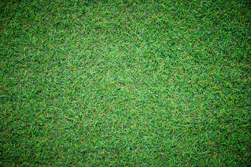 Wall Mural - Artificial green grass texture with vintage filter can be use as background