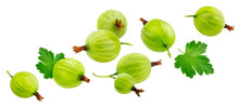 Green Gooseberry Isolated On White Background, Collection