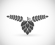Hop And Barley, Brewery Symbol Vector