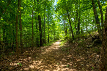  Mountain View Trail, Arabia Mountain, Georgia, USA