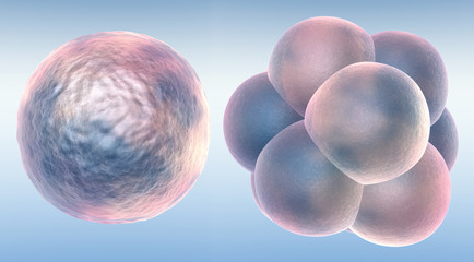 Medicine Bacteria and virus Picture