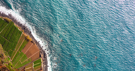 Wall Mural - the southern coast of madeira island