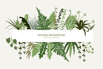 Horizontal floral frame. Tropical foliage and branches. Template for banner, card, poster, greetings, header. Vector flat illustration.