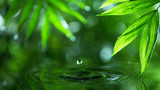 Fototapeta Sypialnia - Dropping water with palm leaf