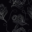 Vector illustration seamless pattern with large buds of a protea flower drawing outline. Textiles, wallpaper, fabric, decoration bedroom and living room